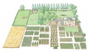 How To Start Your Own 1-Acre, Self-Sustaining HomesteadREALfarmacy.com | Healthy News and Information