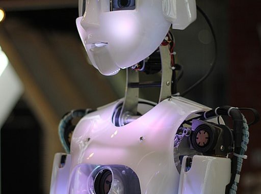 Humanoid Robot