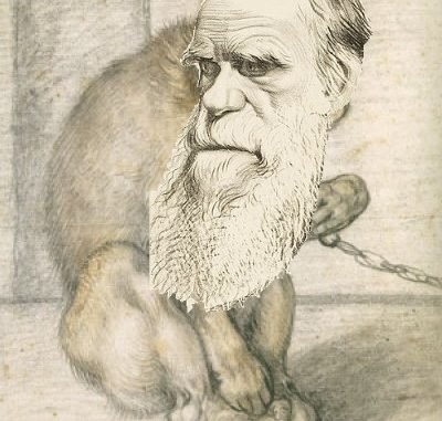 Darwin/Monkey