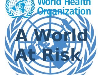 UN world at risk