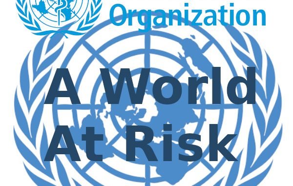 UN world at risk