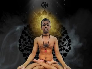 yogi lotus light