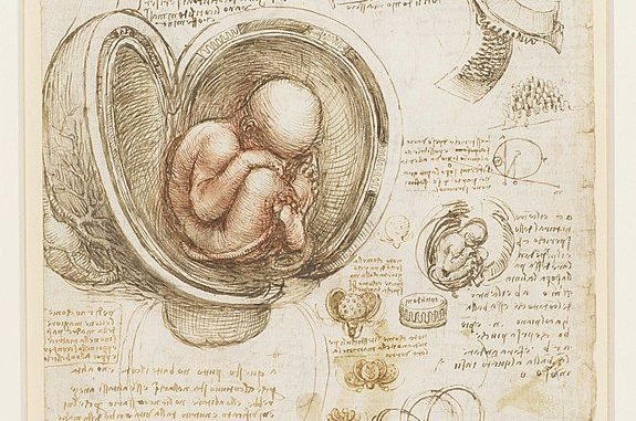 fetus in womb - Leonardo DaVinci