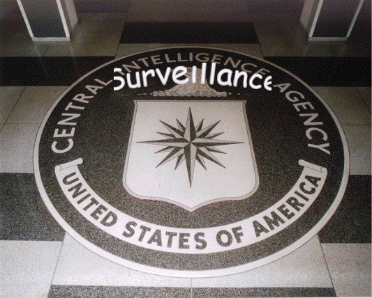 Dark Roles of the CIA